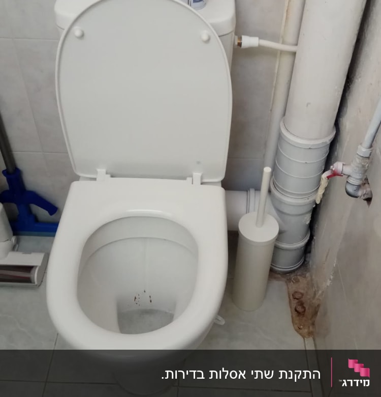 אסלה עם מברשת ניקוי וצינורות מים
